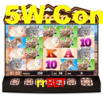 rrbet casino